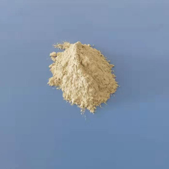 ɽ����F(tu��n)��(r��n)��